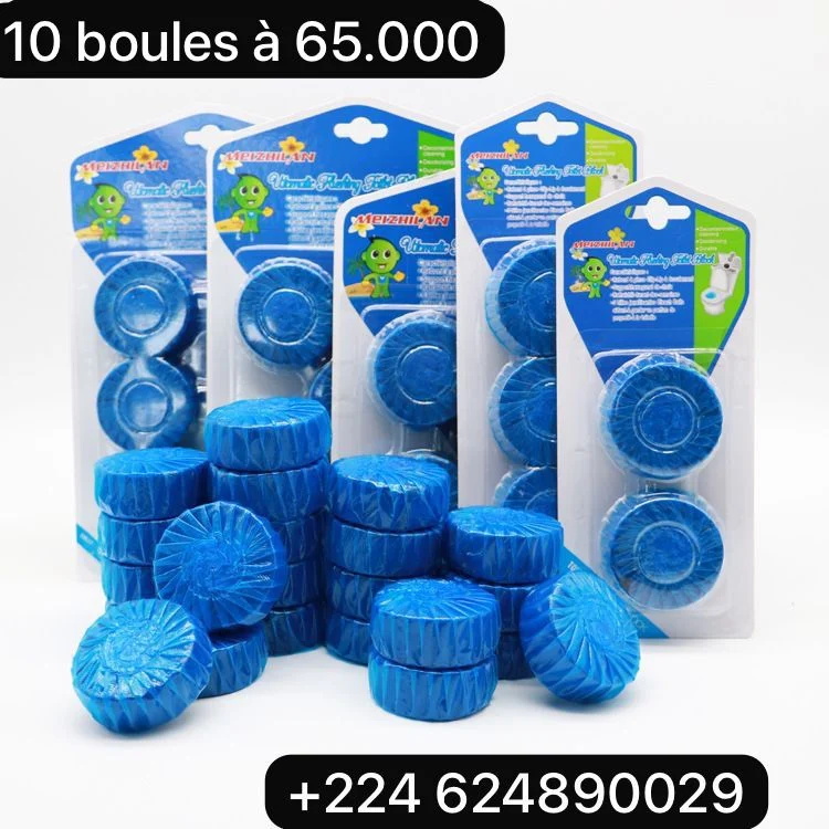 Blocs de nettoyage pour toilettes 1